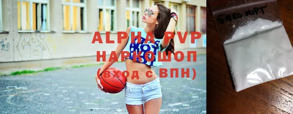 индика Бронницы