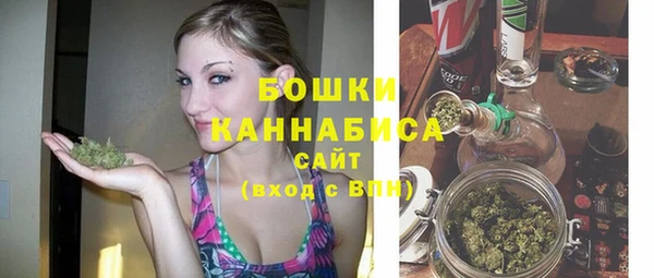 индика Бронницы