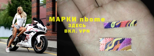 индика Бронницы