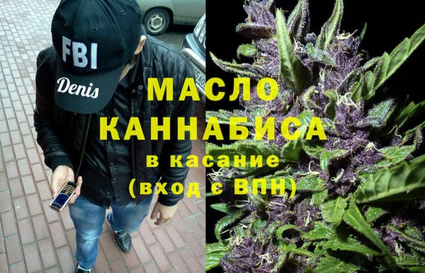 индика Бронницы