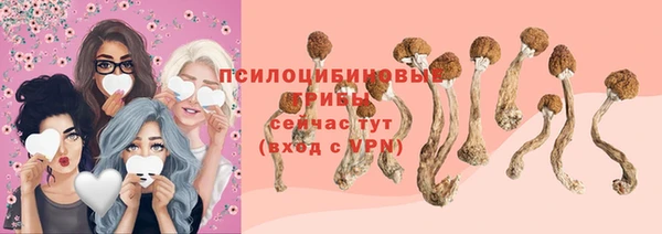 амф Богородицк