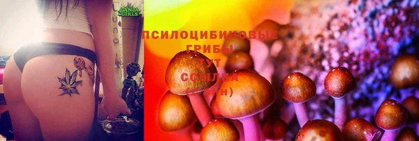 Альфа ПВП Бородино
