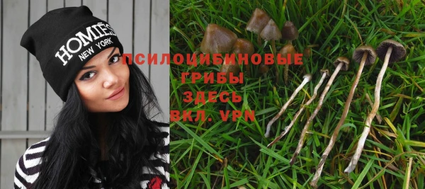 Альфа ПВП Бородино