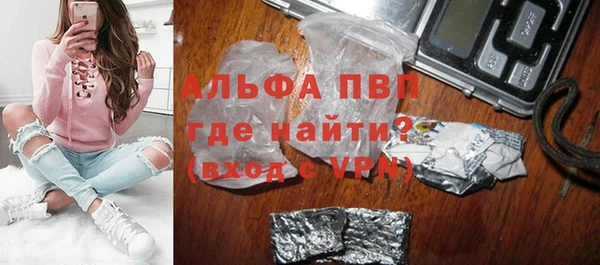 индика Бронницы