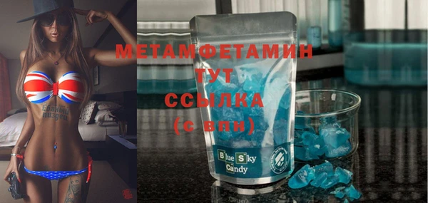индика Бронницы