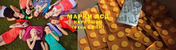 индика Бронницы