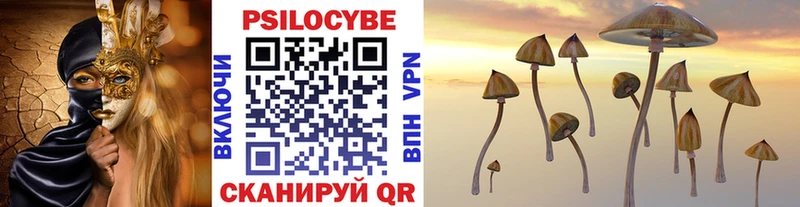 Псилоцибиновые грибы Psilocybine cubensis  Купить  Нягань 